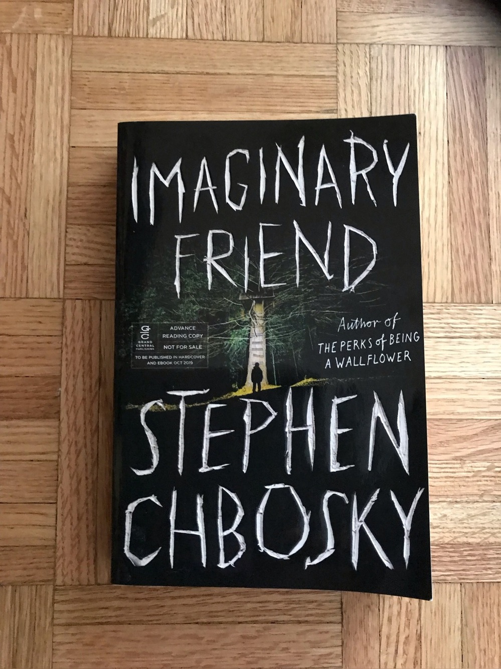 ARC Advanced Readers Copy - Stephen Chbosky Imaginary Friend Horror Fiction ARC